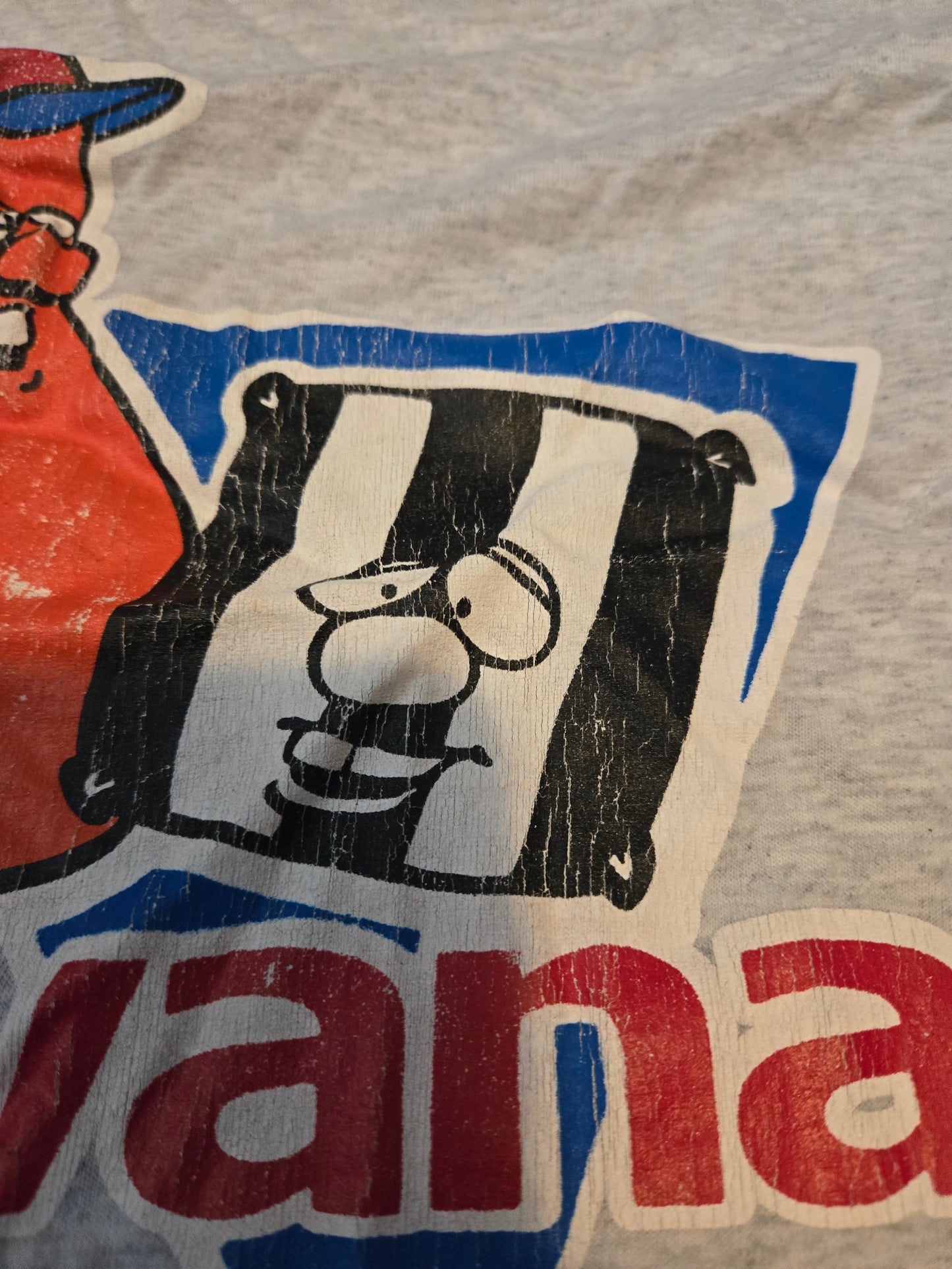 Gray Awana Graphic TShirt - Gently Used